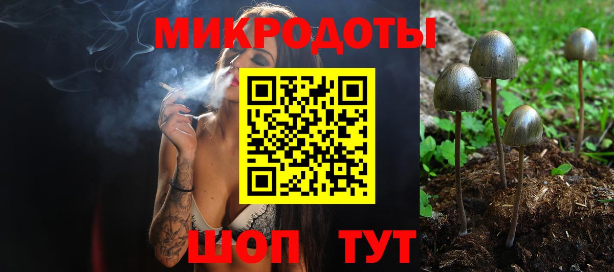 купить наркотик  Вход с VPN  Тосно  Псилоцибиновые грибы Psilocybe 